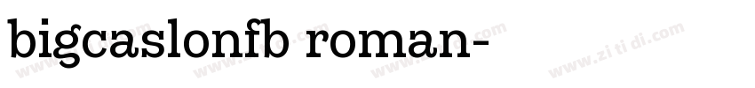 bigcaslonfb roman字体转换